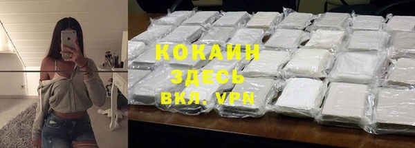 шишки Пестово