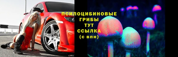 шишки Пестово