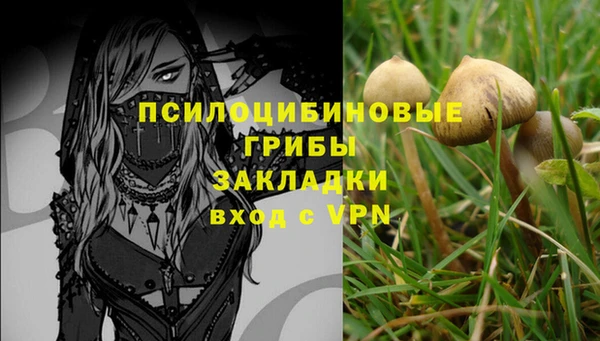 шишки Пестово