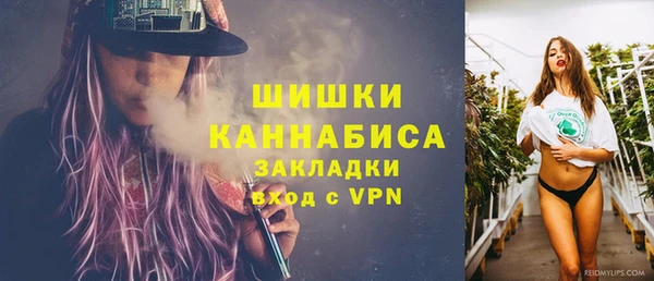 шишки Пестово