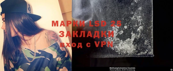 шишки Пестово