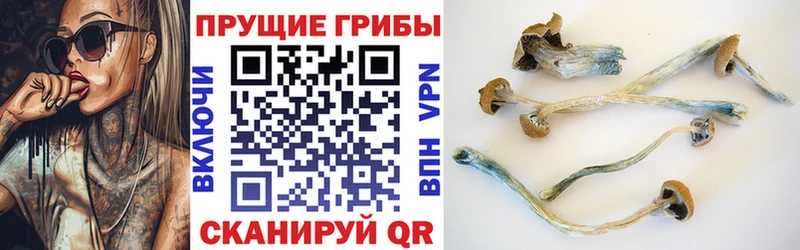 Псилоцибиновые грибы ЛСД  Туринск 